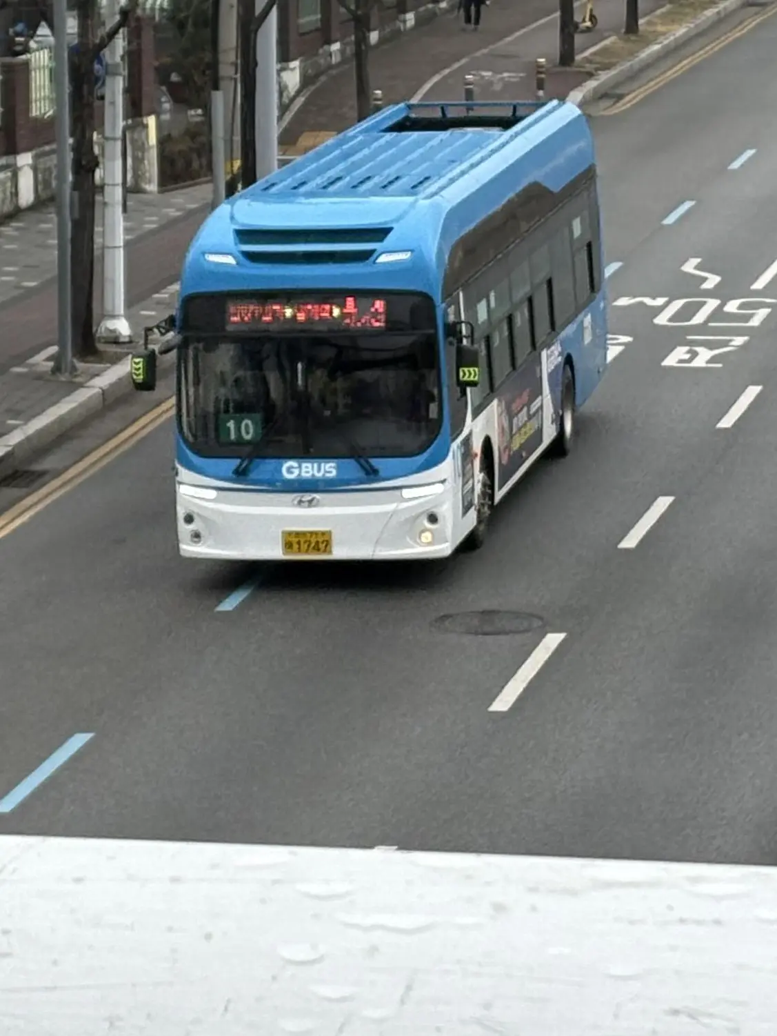 PeachyTape9157의 일렉시티가족