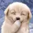 리레볼루션