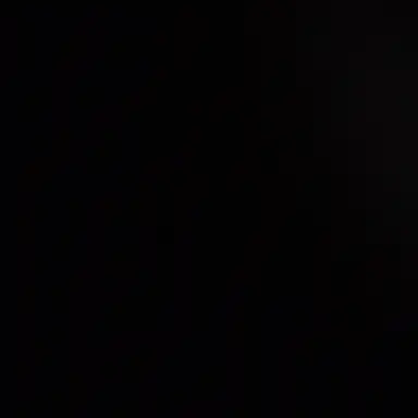 Profile image of 이토키 시가