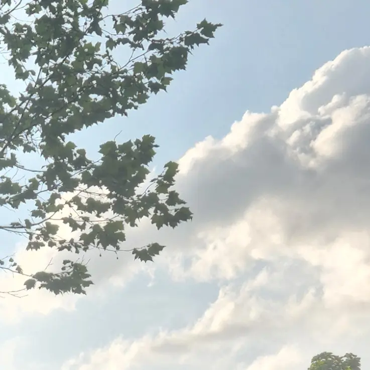 leeharu0518의 소꿉친구에게 애취급 당하기