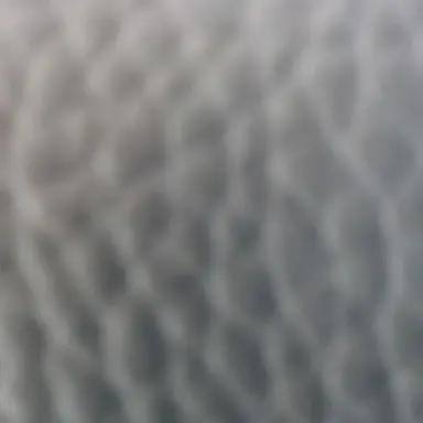 Profile image of 류하준