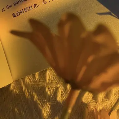 Profile image of Jinto