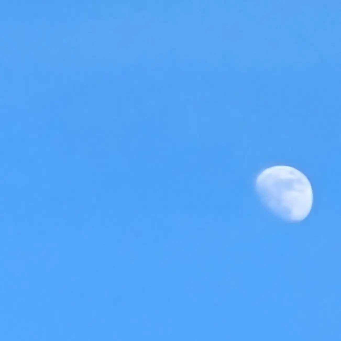 11240420의 貴方は理性が無くなって人魚姿で凶暴化に‥