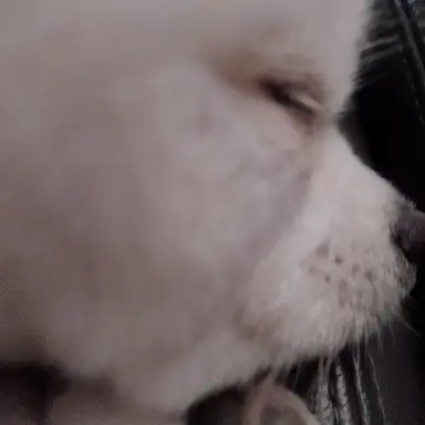 Profile image of 백현