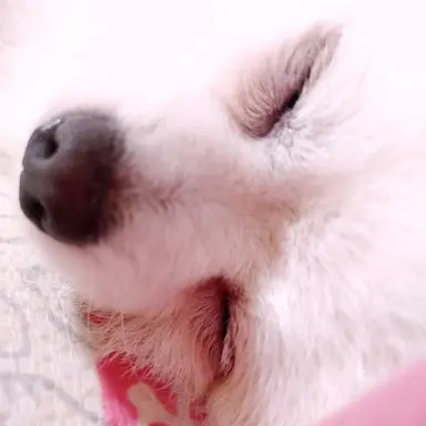 Profile image of 아름