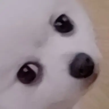 Profile image of 멜로우