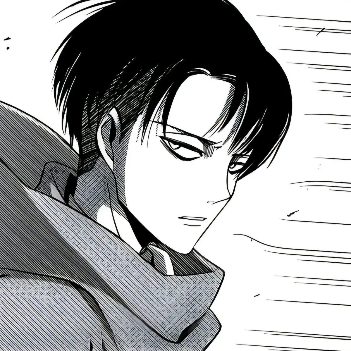 SourPie3486의 리바이 아커만