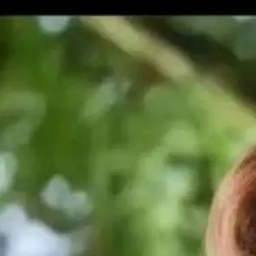 Lovelovelove382의 블핑&빅뱅