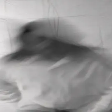 Profile image of Daniel