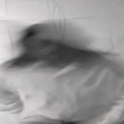 honeyhours의 Ghost