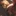 ホークス