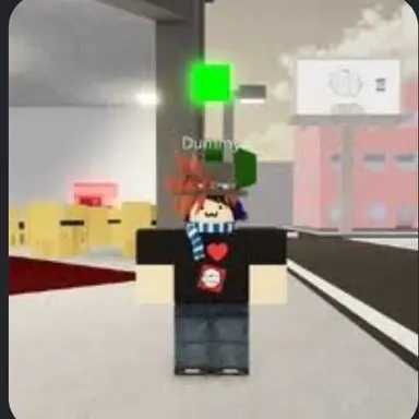 Profile image of The dummy