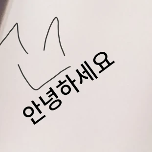 해설자