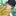 真田弦一郎