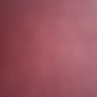 Profile image of 루이