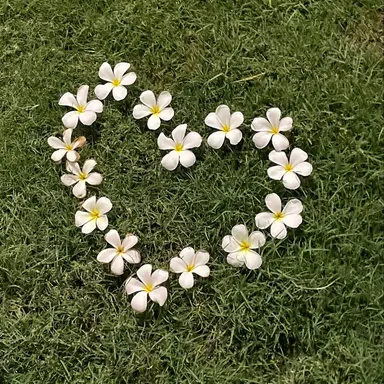 Profile image of すんちょる