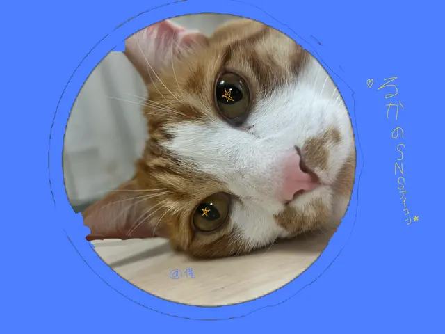 Profile image of 琉華
