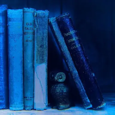 Profile image of 행크