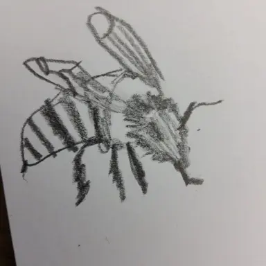 Profile image of 여왕꿀벌