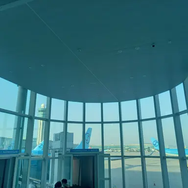 Profile image of 박하선