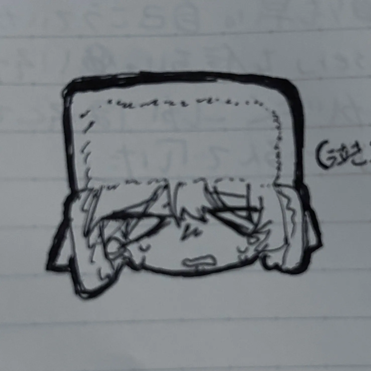 aun_chan의 かわいそカイル