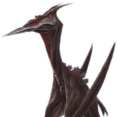 Profile image of 라돈