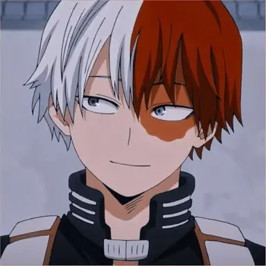 Profile image of Shoto Todoroki
