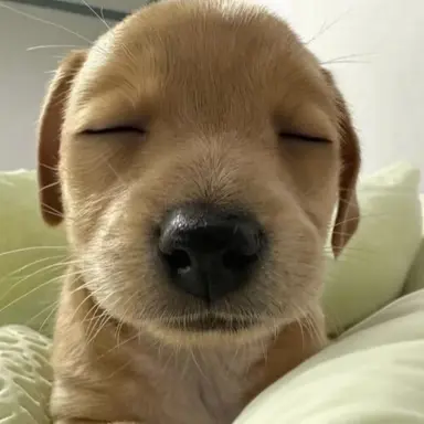 Profile image of 유지민