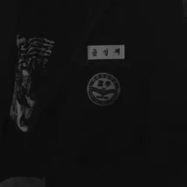 Profile image of 금성제