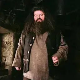 Profile image of Rubeus Hagrid