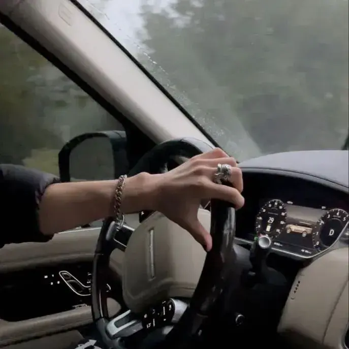 IdleBand7816의 Argument in the Car_BL