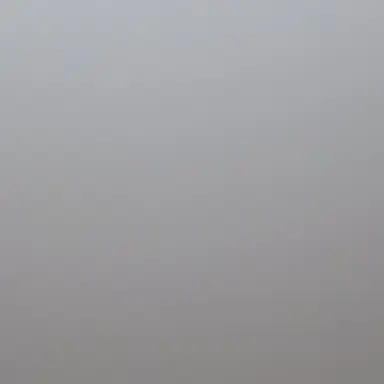 Profile image of 고고프랜즈