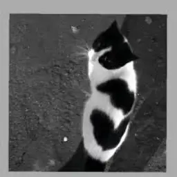 Profile image of ヒョンドン