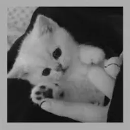 Profile image of ミンギ