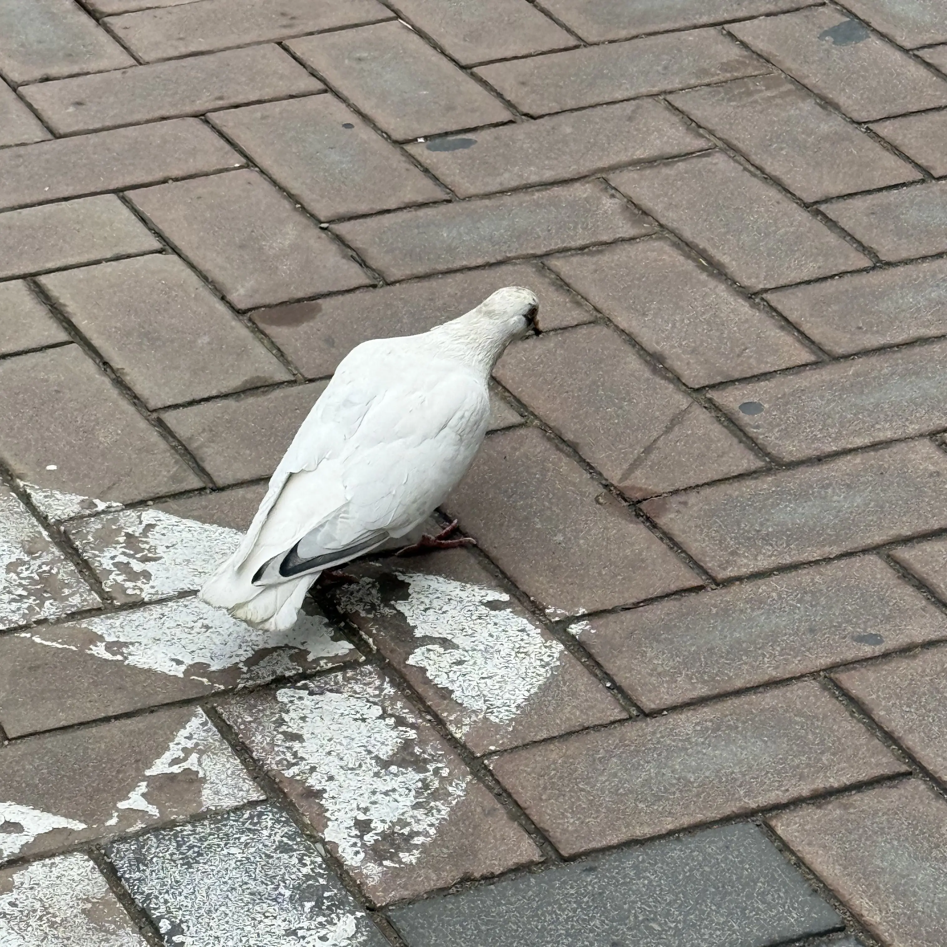 SpryPants8338의 내가 만드는 세상