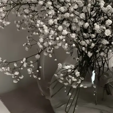 Profile image of 박덕개