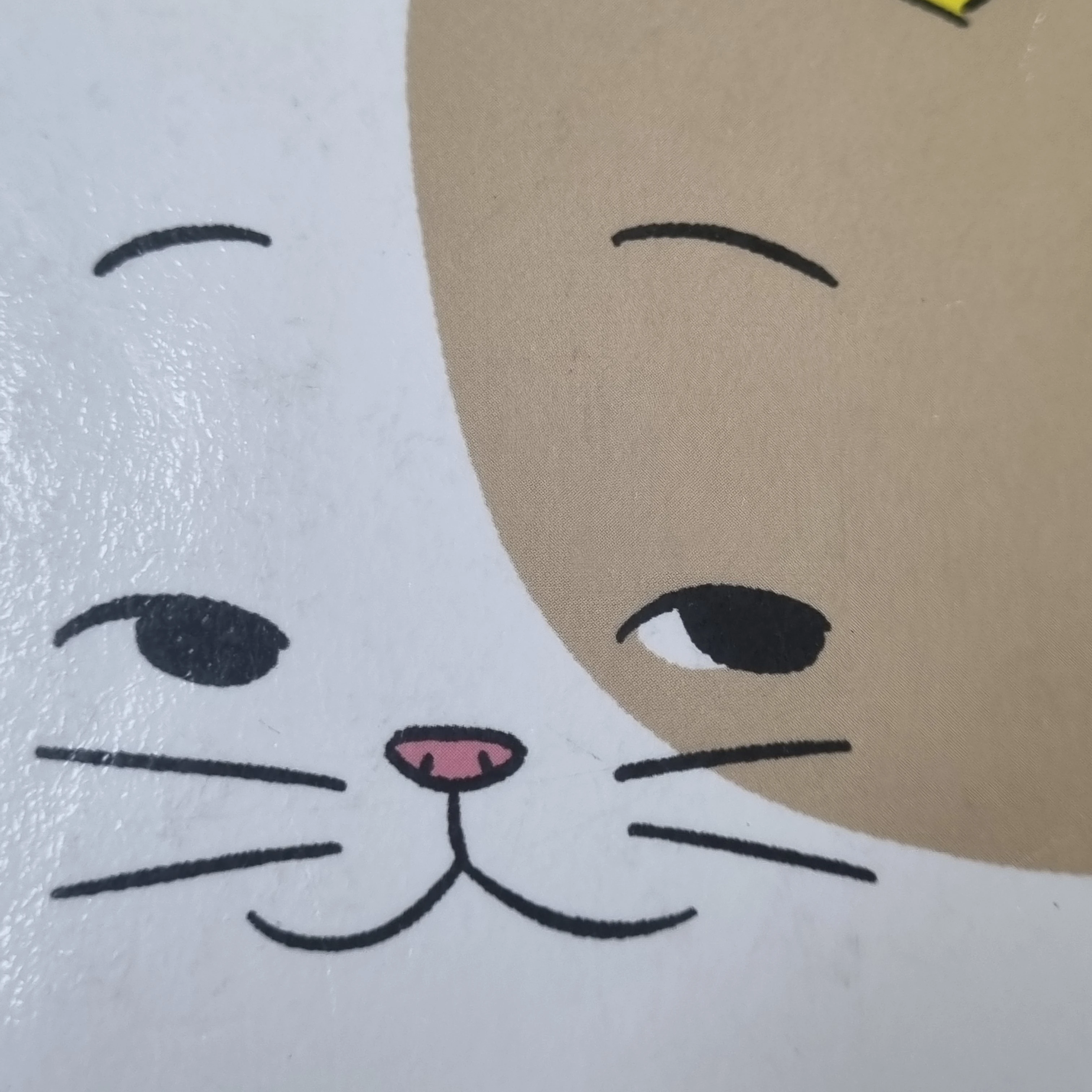 박여우