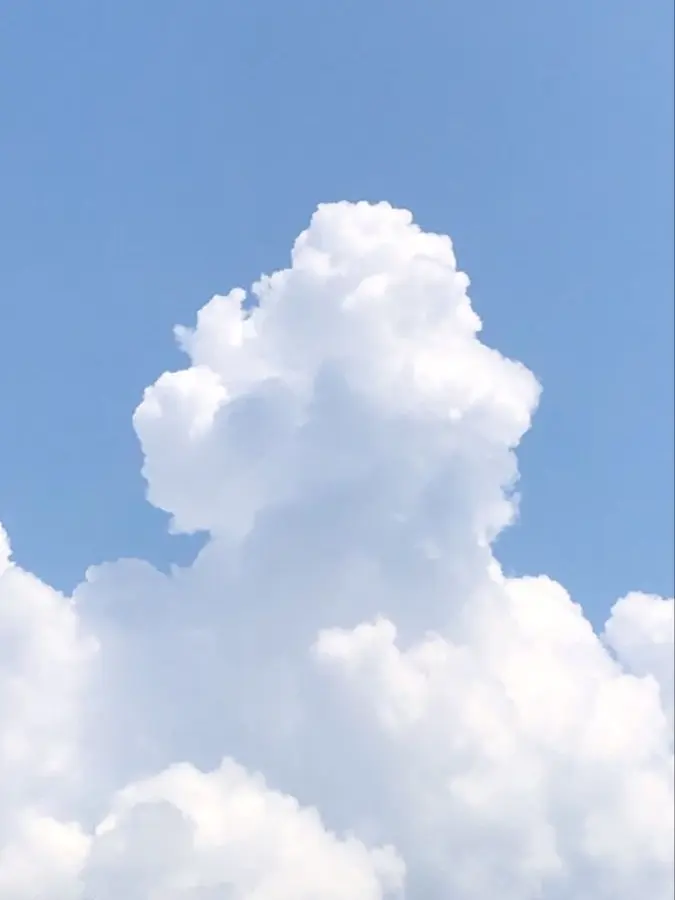 _Clover_의 나도 말걸고싶다고오-!!