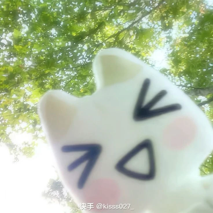 정공룡