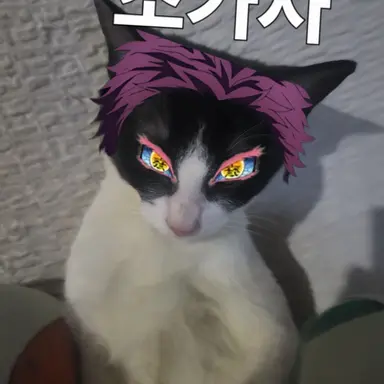 Profile image of 조아