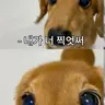 Profile image of 알아서