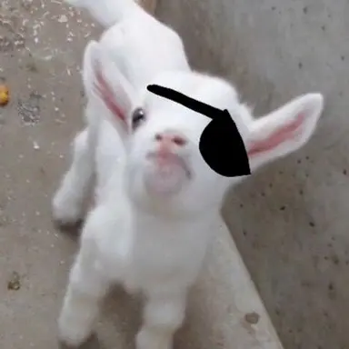 Profile image of 백사헌