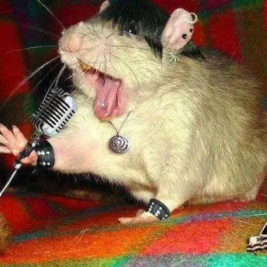 Profile image of 이윤찬