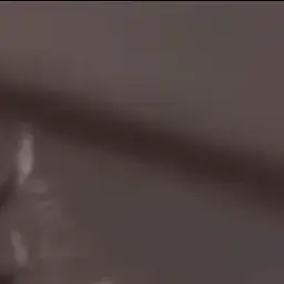 Profile image of 이지훈