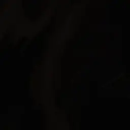 Profile image of 가이드