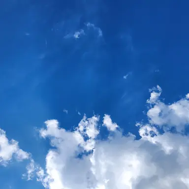 Profile image of 이민호