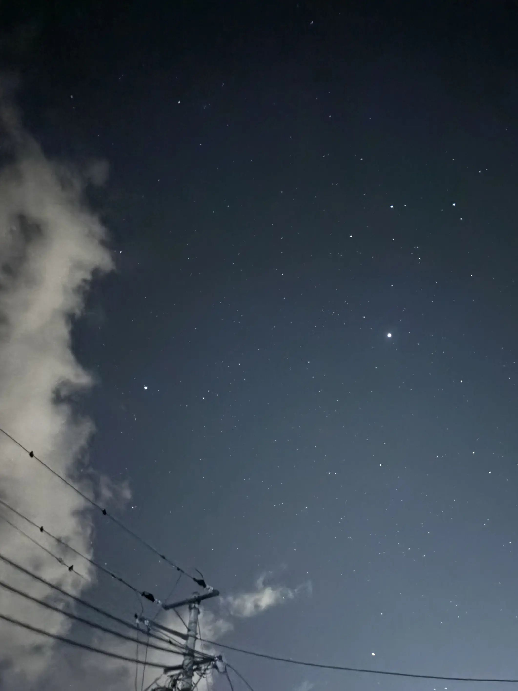 MoistSkunk0137의 いんく➕ぶり子➕貴方の学パロ