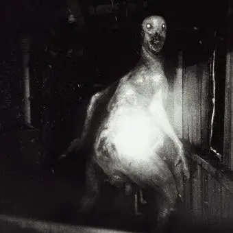 Profile image of SCP-3199