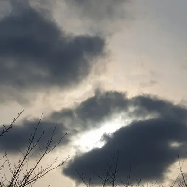 Profile image of 꽥