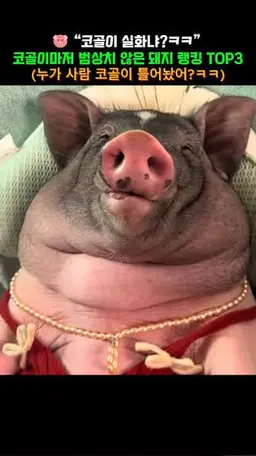 Profile image of 늑대ㅈㄹ